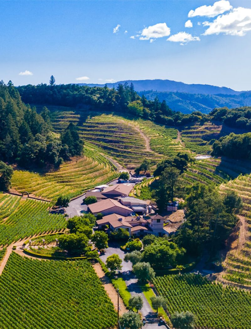 Pine-Ridge-Vineyards-Estate-property-ariel-view-1320x880-2