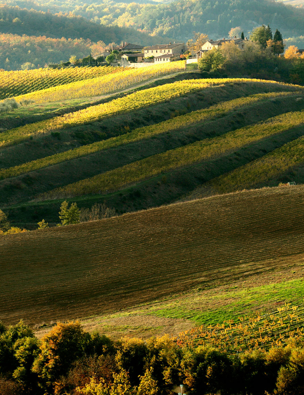 SFD_Chianti_Classico_Regional_Guide_Landscape_Hero_1536x1152 1